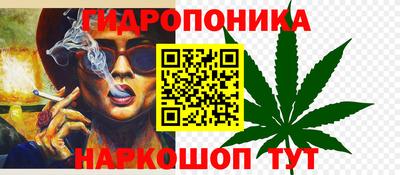 шишки Малгобек